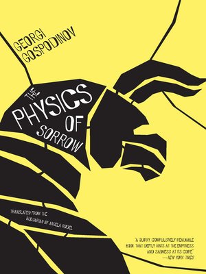 cover image of The Physics of Sorrow